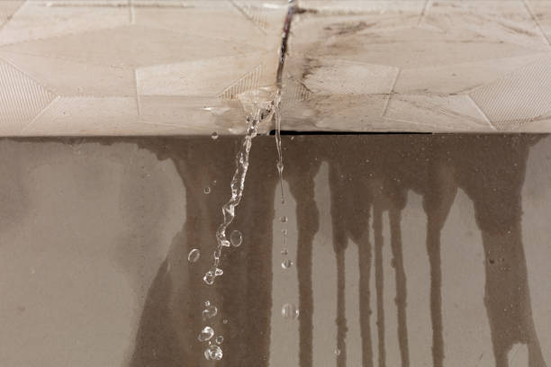 Professional Water Extraction technician working in Bradner, OH